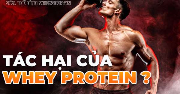 Whey Protein có hại không?