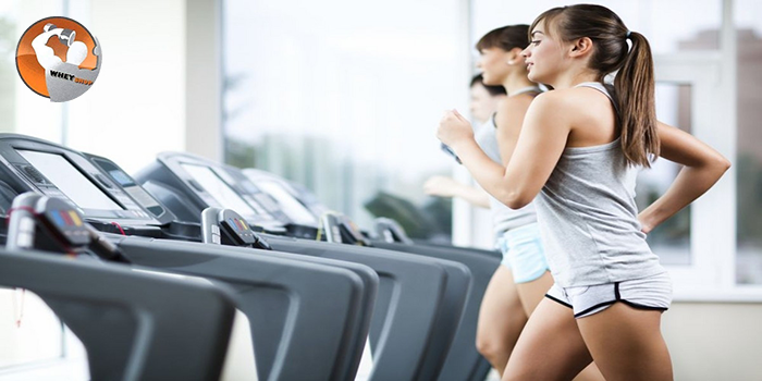 Tập gym là gì? Tại sao các bạn trẻ nên tập gym hàng ngày