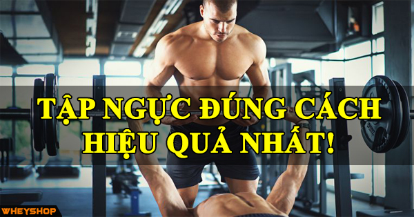 Hướng dẫn cách tập cơ ngực đúng cách giúp ngực nở to hiệu quả nhất