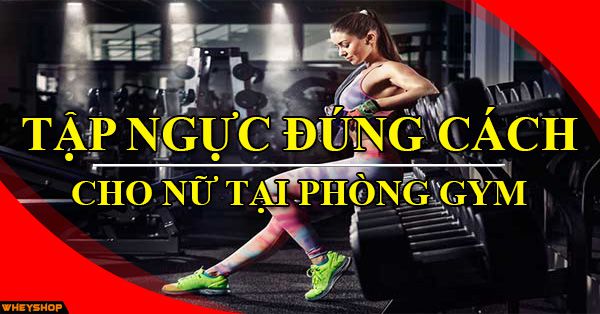 Bài tập ngực đúng cách cho nữ tại phòng Gym