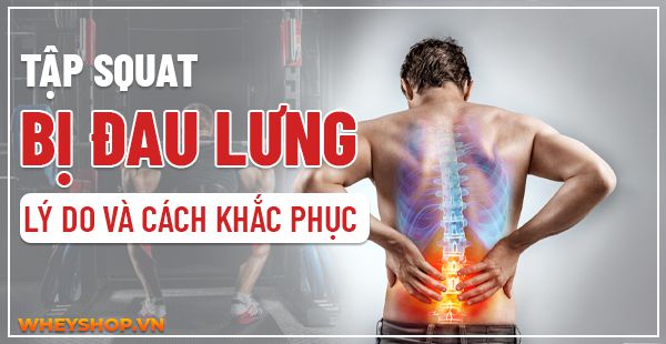 Tập Squat bị đau lưng : Lý do và cách khắc phục