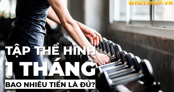 Xóa bỏ thắc mắc tập thể hình 1 tháng bao nhiêu tiền là đủ?