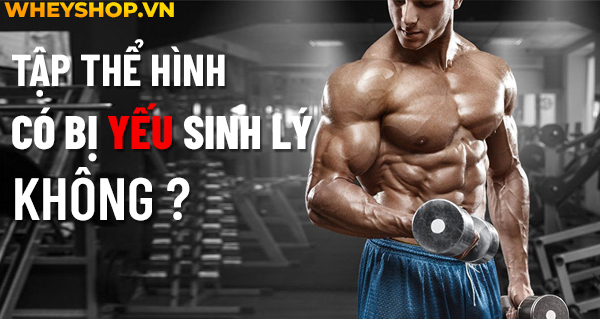 Giải đáp thắc mắc: Tập thể hình có bị yếu sinh lý không?