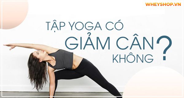 Tập Yoga có giảm cân không? Hướng dẫn 15 bài tập Yoga giảm cân hiệu quả