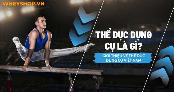 Thể dục dụng cụ là gì? Giới thiệu về thể dục dụng cụ Việt Nam