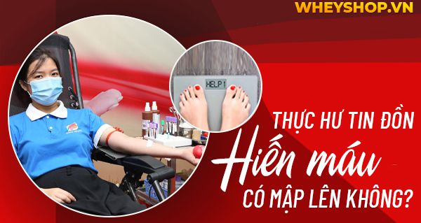 Thực hư tin đồn hiến máu có mập lên không?