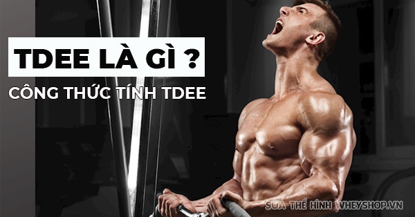 Tính TDEE là gì? Công cụ để tính TDEE chuyên nghiệp nhất