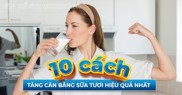 Tổng hợp 10 cách tăng cân bằng sữa tươi hiệu quả nhất