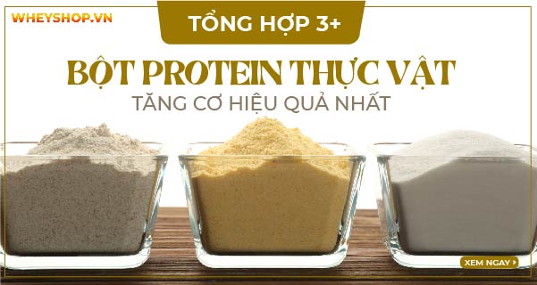 Tổng hợp 3+ Bột Protein thực vật tăng cơ hiệu quả nhất