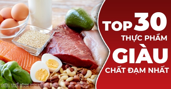 Top 30 thực phẩm giàu chất đạm tốt nhất cho người tập thể hình