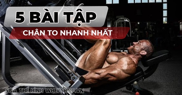 Top 5 bài tập chân to tại nhà hiệu quả nhất mọi thời đại
