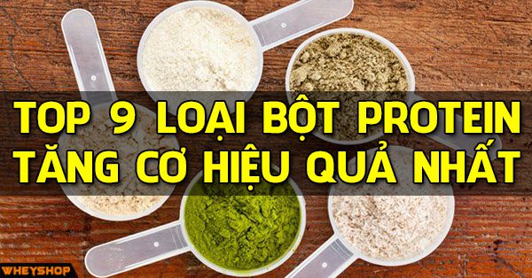 Top 9 loại bột protein giúp xây dựng cơ bắp cho gymer