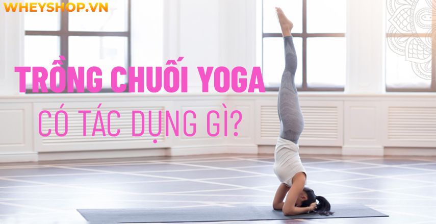 Tìm hiểu lợi ích và hướng dẫn tập trồng chuối Yoga