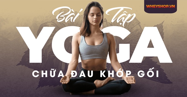 Bài tập yoga chữa đau khớp gối hiệu quả nhanh