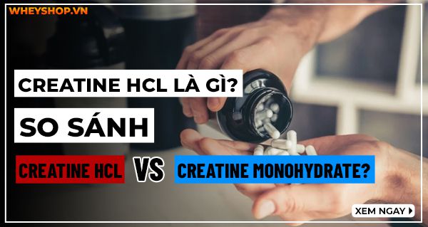 Creatine HCL là gì? So sánh Creatine HCL và Creatine Monohydrate?