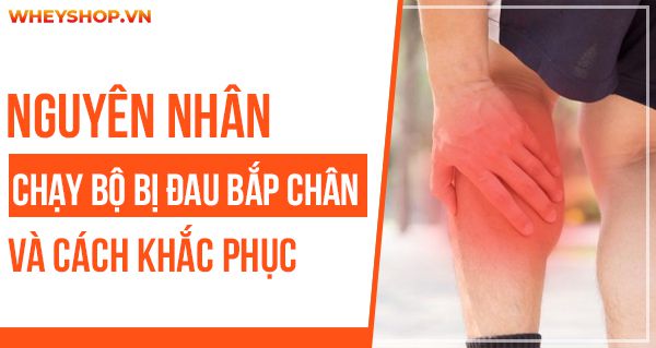 Nguyên nhân chạy bộ đau bắp chân và cách khắc phục hiệu quả