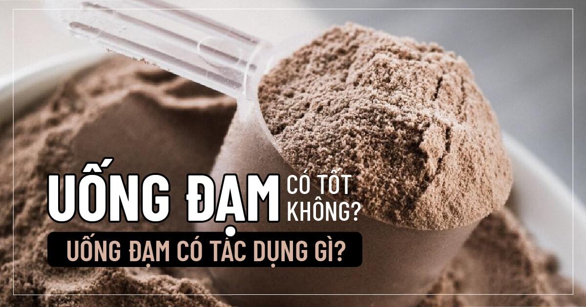 Uống đạm có tốt không? Uống đạm có tác dụng gì?