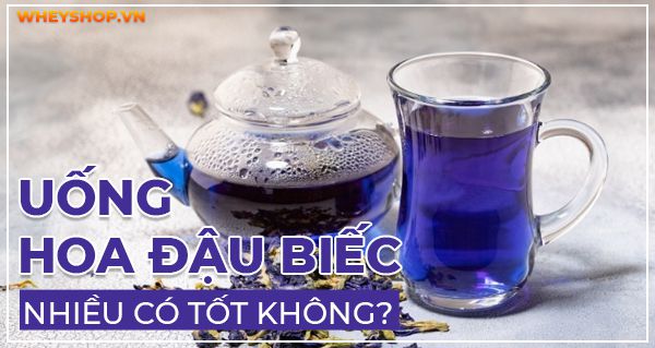 Giải đáp thắc mắc: Uống hoa đậu biếc nhiều có tốt không?