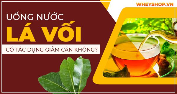 Giải đáp thắc mắc: Uống nước lá vối có tác dụng giảm cân không?