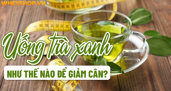 Uống trà xanh như thế nào để giảm cân? 5 cách uống trà xanh giảm cân