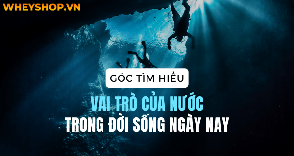Góc tìm hiểu: Vai trò của nước trong đời sống ngày nay