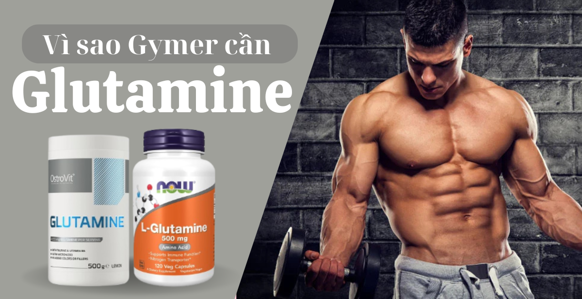 Vì sao Gymer cần Glutamine? 4 tác dụng không thể bỏ qua!