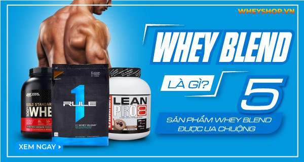 Whey blend là gì? Top 5+ sản phẩm Whey Blend được ưa chuộng