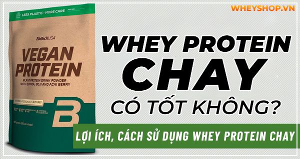 Whey Protein chay có tốt không? Lợi ích, cách sử dụng Whey Protein chay