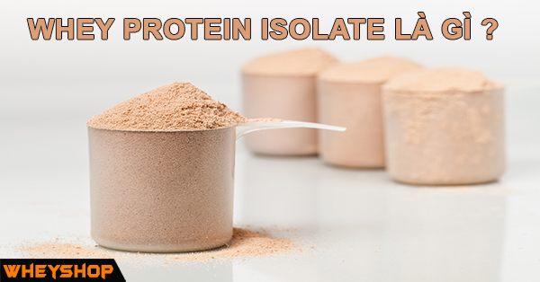 Whey Isolate là gì ? Tại sao gymer nên chọn Whey Isolate