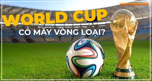 World Cup có mấy vòng loại? Những thông tin cơ bản về giải đấu World Cup