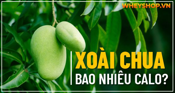 Xoài chua bao nhiêu calo? Ăn xoài chua có giảm cân không?
