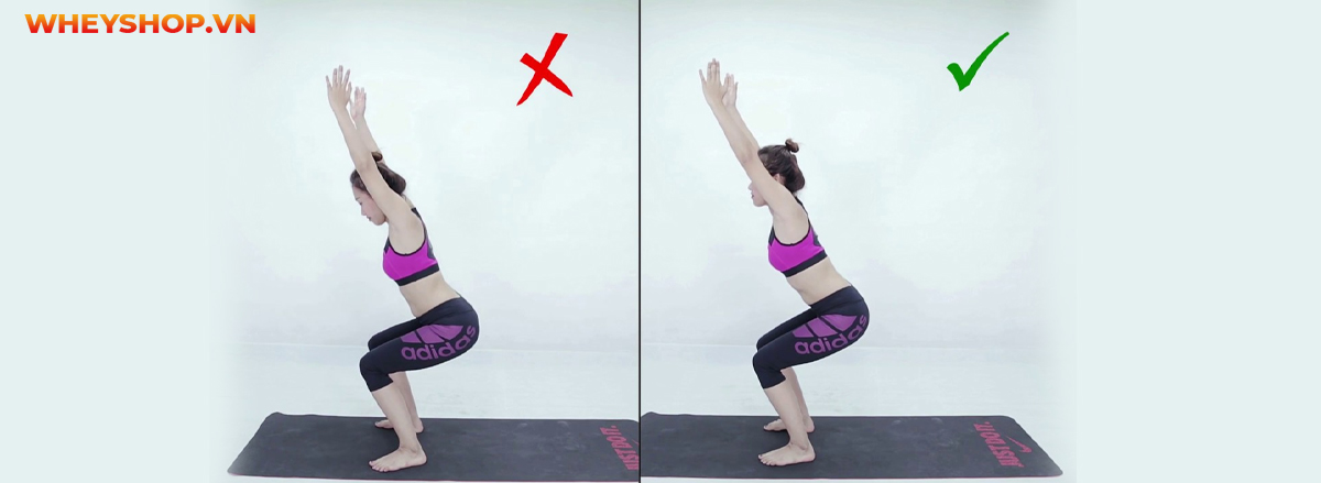 Có nên tự tập yoga tại nhà ? rất nhiều các bạn có kế hoạch tập luyện Yoga băn khoăn về vấn đề này. Cùng tìm câu trả lời qua bài viết dưới đây của Wheyshop nhé.