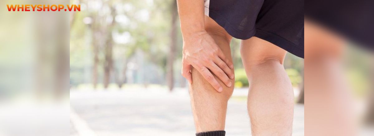 Chắc hẳn không dưới 1 lần bạn chạy bộ bị đau bắp chân, vậy nguyên nhân là gì? Hãy cùng WheyShop tìm hiểu chi tiết qua bài viết sau và cách khắc phục ngay nhé...