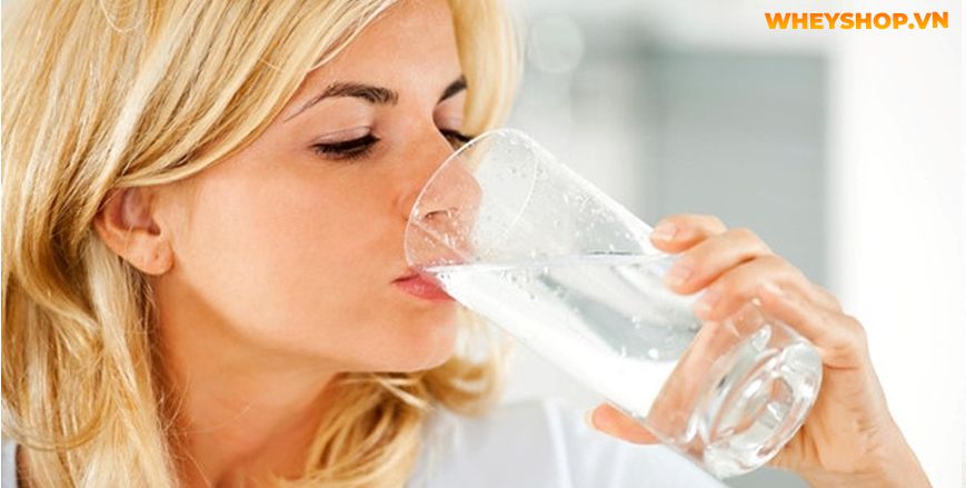 Nếu bạn đang phân vân trong việc tìm cách uống nước giảm cân thì hãy cùng WheyShop tham khảo ngay 5 cách lên lịch uống nước giảm cân...