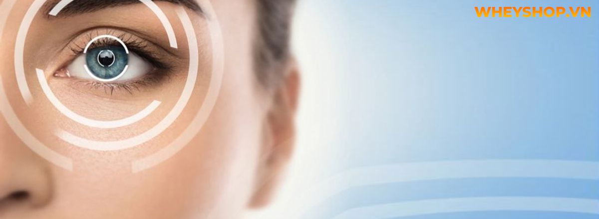 Hãy cùng WheyShop tham khảo và tìm hiểu ngay về 15 lợi ích tuyệt vời đối với sức khỏe mà Ớt chuông mang lại qua bài viết sau đây....