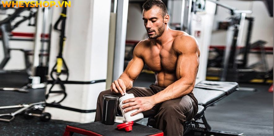 BCAA là một trong những sản phẩm quen thuộc của người tập gym, thể hình. Hãy cùng chúng tôi tìm hiểu 3 lý do để khẳng định BCAA đốt mỡ...