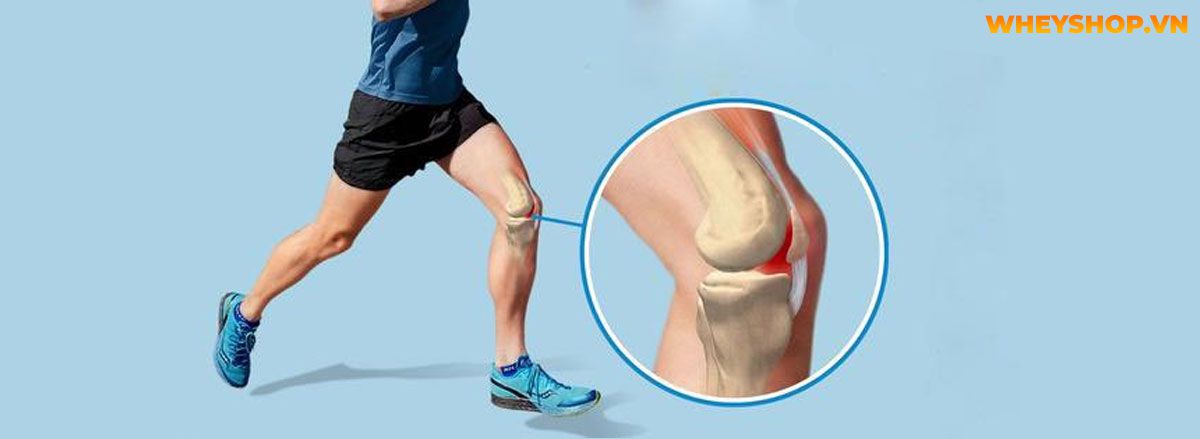Nếu bạn có đang gặp tình trạng chạy bộ đau đầu gối thì đừng chủ quan, hãy tham khảo ngay bài viết sau đây cùng WheyShop để hiểu rõ hơn...Nếu bạn có đang gặp tình trạng chạy bộ đau đầu gối thì đừng chủ quan, hãy tham khảo ngay bài viết sau đây cùng WheyShop để hiểu rõ hơn...