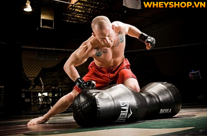 MMA là gì mà tại sao nhiều người lại biết đến và nhanh chóng trở nên phổ biến như vậy trên toàn thế giới? Hãy cùng WheyShop tìm hiểu tất cả những thông tin...