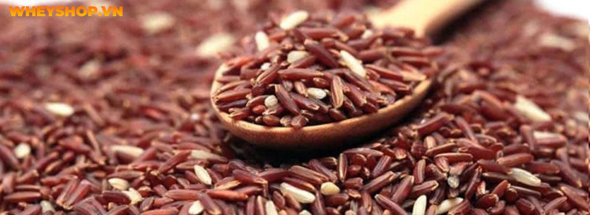 Tìm hiểu vai trò của thực phẩm giàu chất xơ đối với sức khỏe và top 30 thực phẩm giàu chất xơ tốt nhất mà WheyShop chia sẻ trong bài viết...