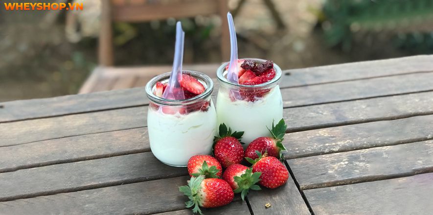 Nếu bạn đang băn khoăn 1 hộp sữa chua nha đam bao nhiêu calo thì hãy cùng WheyShop tìm hiểu chi tiết qua bài viết ngay sau đây nhé...