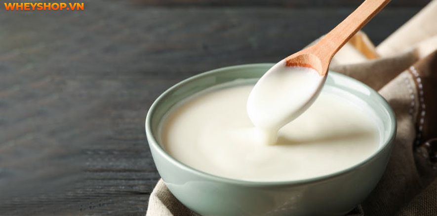 Nếu bạn đang băn khoăn 1 hộp sữa chua nha đam bao nhiêu calo thì hãy cùng WheyShop tìm hiểu chi tiết qua bài viết ngay sau đây nhé...