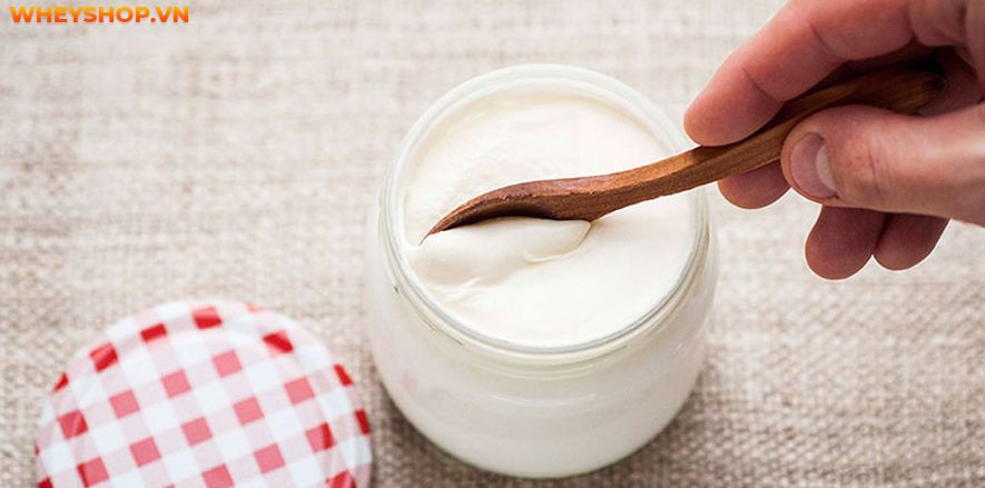 Nếu bạn đang băn khoăn 1 hộp sữa chua nha đam bao nhiêu calo thì hãy cùng WheyShop tìm hiểu chi tiết qua bài viết ngay sau đây nhé...