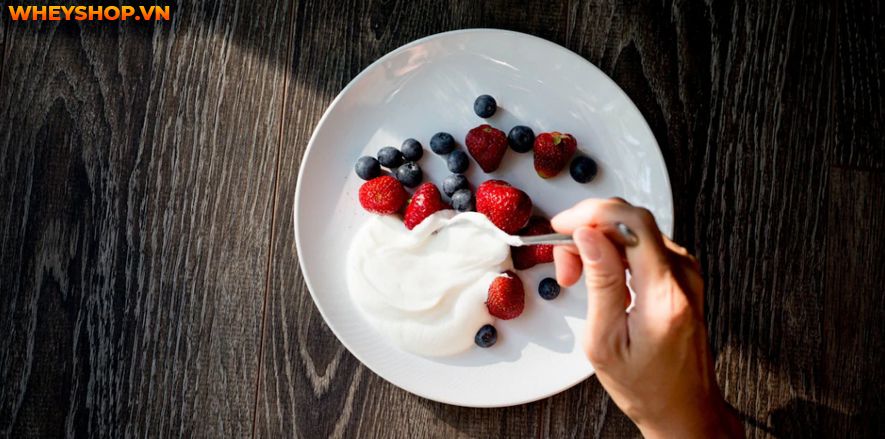 Nếu bạn đang băn khoăn 1 hộp sữa chua nha đam bao nhiêu calo thì hãy cùng WheyShop tìm hiểu chi tiết qua bài viết ngay sau đây nhé...