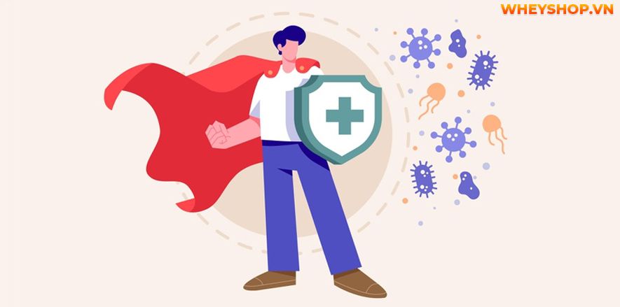 Nếu bạn đang băn khoăn 1 hộp sữa chua nha đam bao nhiêu calo thì hãy cùng WheyShop tìm hiểu chi tiết qua bài viết ngay sau đây nhé...