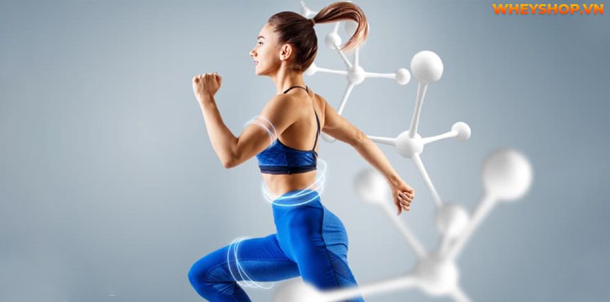 Nếu bạn đang băn khoăn 1 hộp sữa chua nha đam bao nhiêu calo thì hãy cùng WheyShop tìm hiểu chi tiết qua bài viết ngay sau đây nhé...