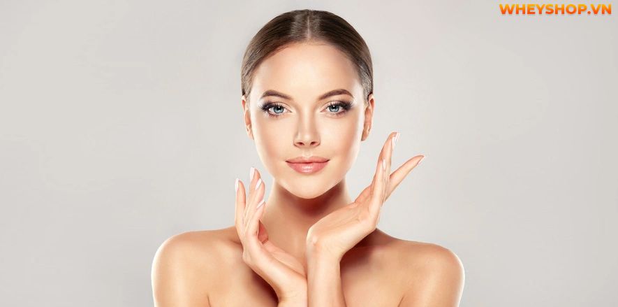 Nếu bạn đang băn khoăn 1 hộp sữa chua nha đam bao nhiêu calo thì hãy cùng WheyShop tìm hiểu chi tiết qua bài viết ngay sau đây nhé...