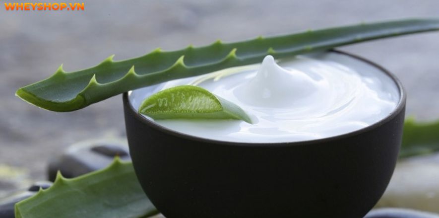 Nếu bạn đang băn khoăn 1 hộp sữa chua nha đam bao nhiêu calo thì hãy cùng WheyShop tìm hiểu chi tiết qua bài viết ngay sau đây nhé...Nếu bạn đang băn khoăn 1 hộp sữa chua nha đam bao nhiêu calo thì hãy cùng WheyShop tìm hiểu chi tiết qua bài viết ngay sau đây nhé...