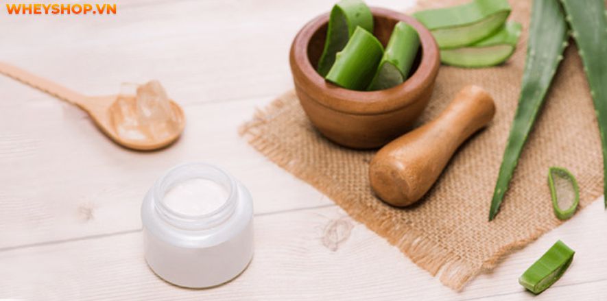 Nếu bạn đang băn khoăn 1 hộp sữa chua nha đam bao nhiêu calo thì hãy cùng WheyShop tìm hiểu chi tiết qua bài viết ngay sau đây nhé...