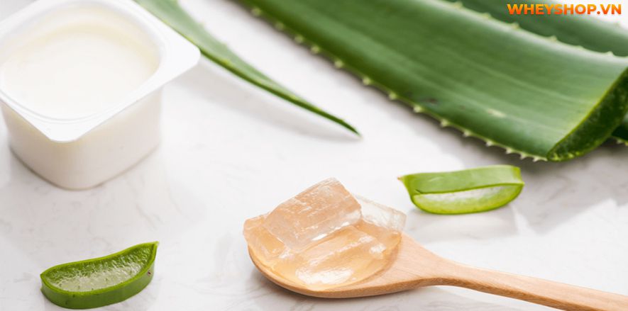 Nếu bạn đang băn khoăn 1 hộp sữa chua nha đam bao nhiêu calo thì hãy cùng WheyShop tìm hiểu chi tiết qua bài viết ngay sau đây nhé...