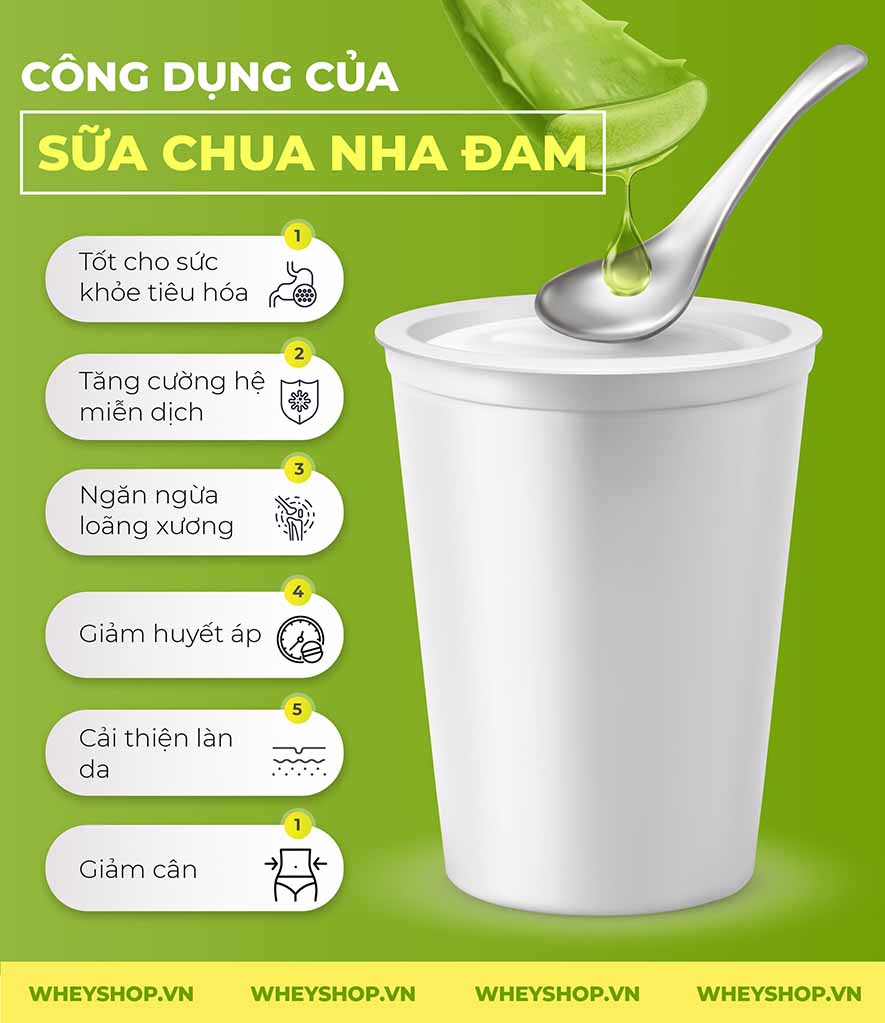 Nếu bạn đang băn khoăn 1 hộp sữa chua nha đam bao nhiêu calo thì hãy cùng WheyShop tìm hiểu chi tiết qua bài viết ngay sau đây nhé...